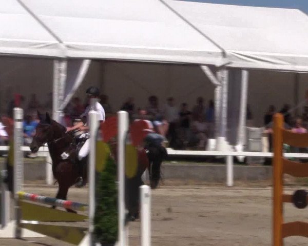 Reitturnier Melle-Ostenfelde 2018