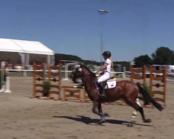 Reitturnier Melle-Ostenfelde 2018