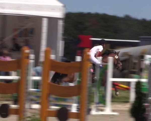 Reitturnier Melle-Ostenfelde 2018