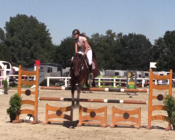 Reitturnier Melle-Ostenfelde 2018