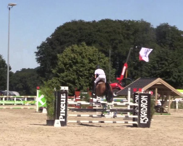 Reitturnier Melle-Ostenfelde 2018