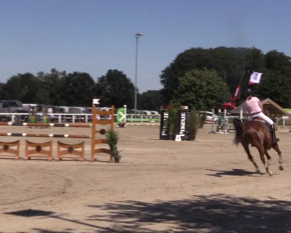 Reitturnier Melle-Ostenfelde 2018