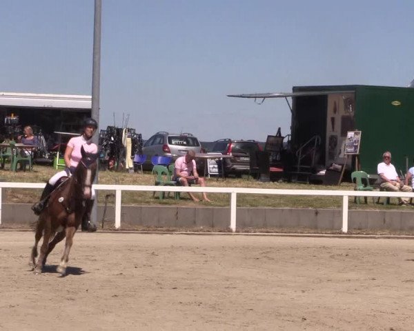 Reitturnier Melle-Ostenfelde 2018