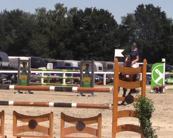 Reitturnier Melle-Ostenfelde 2018