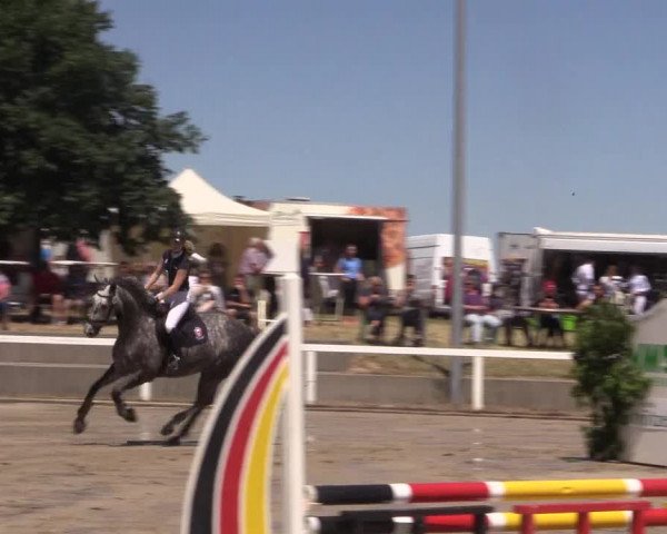 Reitturnier Melle-Ostenfelde 2018
