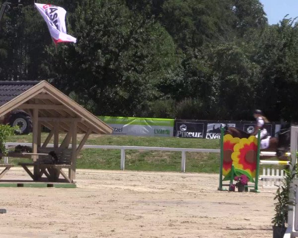 Reitturnier Melle-Ostenfelde 2018