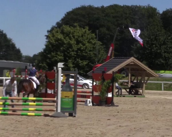 Reitturnier Melle-Ostenfelde 2018