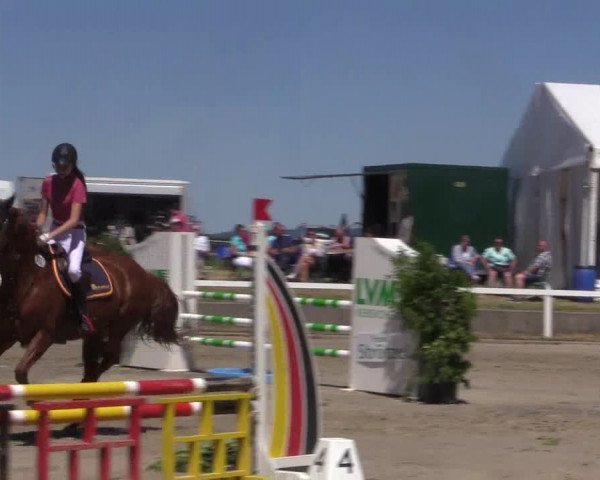 Reitturnier Melle-Ostenfelde 2018