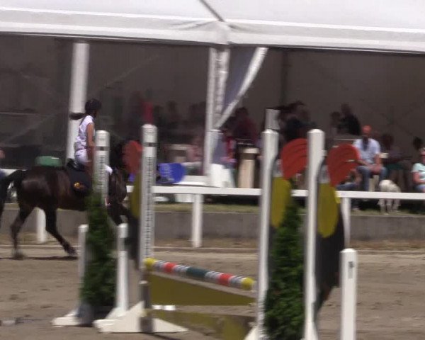 Reitturnier Melle-Ostenfelde 2018