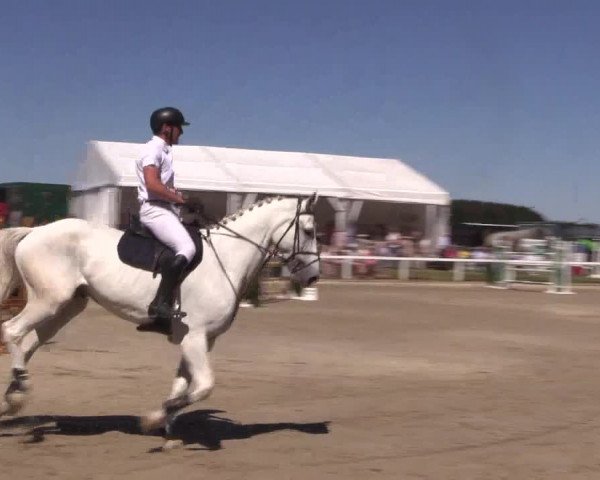 Reitturnier Melle-Ostenfelde 2018
