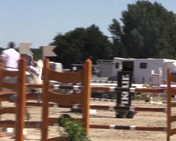 Reitturnier Melle-Ostenfelde 2018