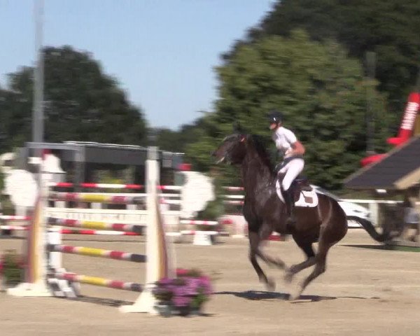 Reitturnier Melle-Ostenfelde 2018