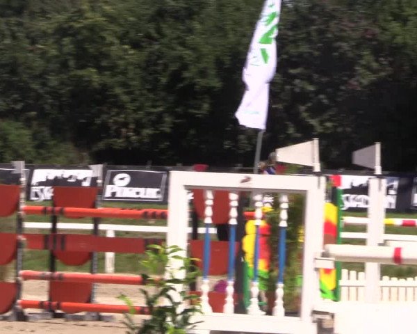 Reitturnier Melle-Ostenfelde 2018