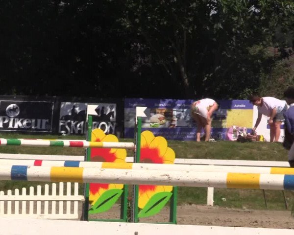 Reitturnier Melle-Ostenfelde 2018