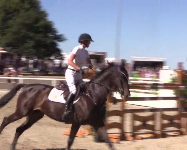 Reitturnier Melle-Ostenfelde 2018
