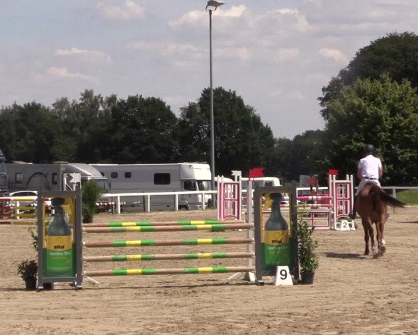 Reitturnier Melle-Ostenfelde 2018