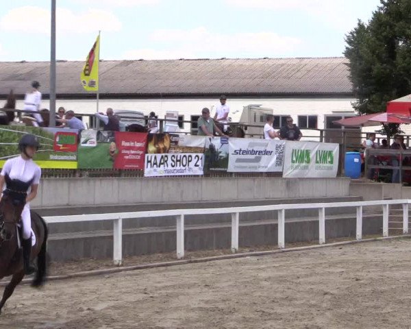 Reitturnier Melle-Ostenfelde 2018