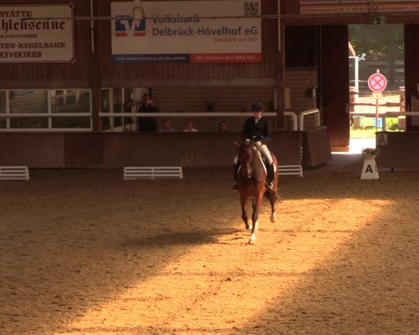 Reitturnier Delbrück-Ostenland 2018