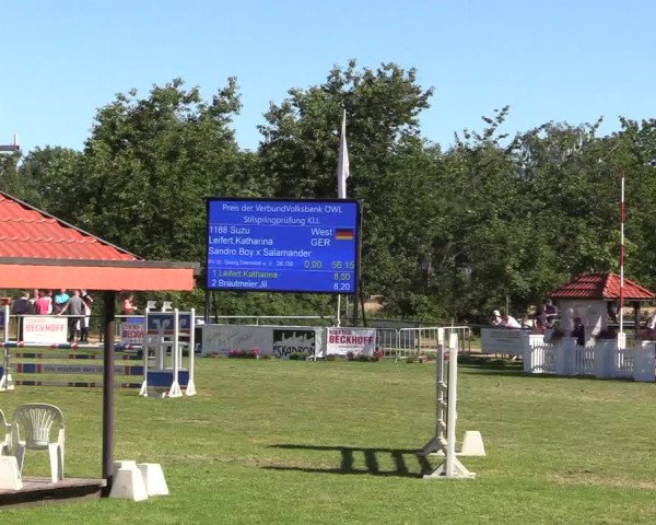 Reitturnier Delbrück-Ostenland 2018