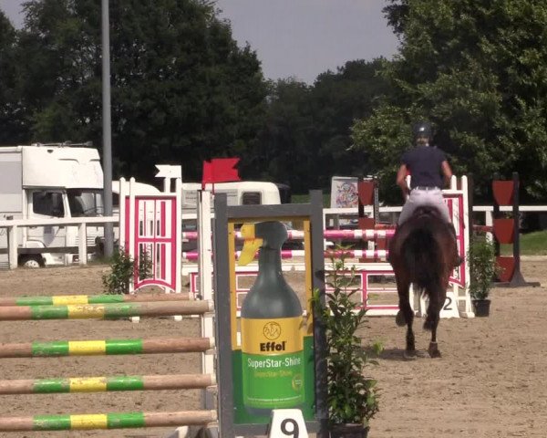 Reitturnier Melle-Ostenfelde 2018