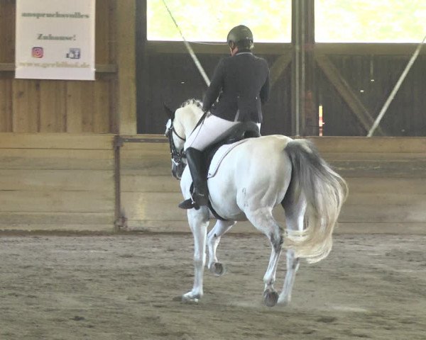Reitturnier Pellheim-Gerblhof 2018