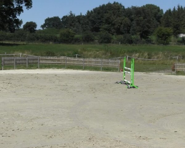 Reitturnier Schülp / Rendsburg 2018