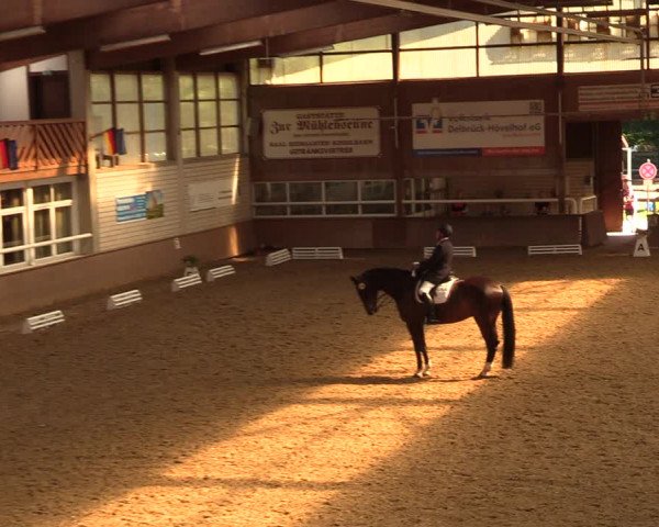Reitturnier Delbrück-Ostenland 2018