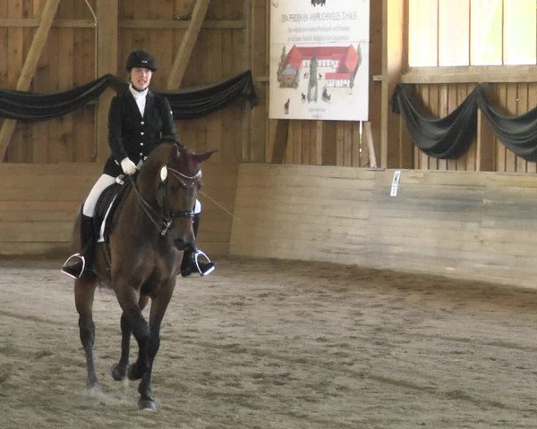 Reitturnier Pellheim-Gerblhof 2018