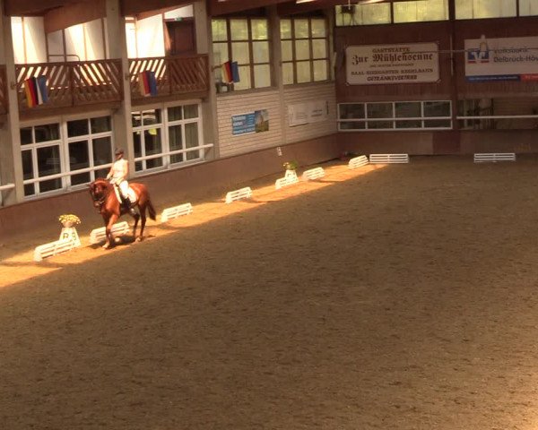 Reitturnier Delbrück-Ostenland 2018