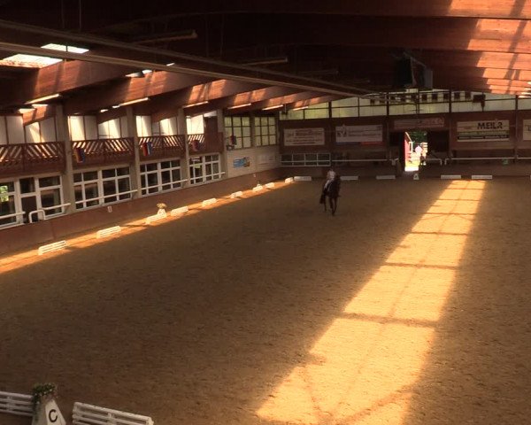 Reitturnier Delbrück-Ostenland 2018