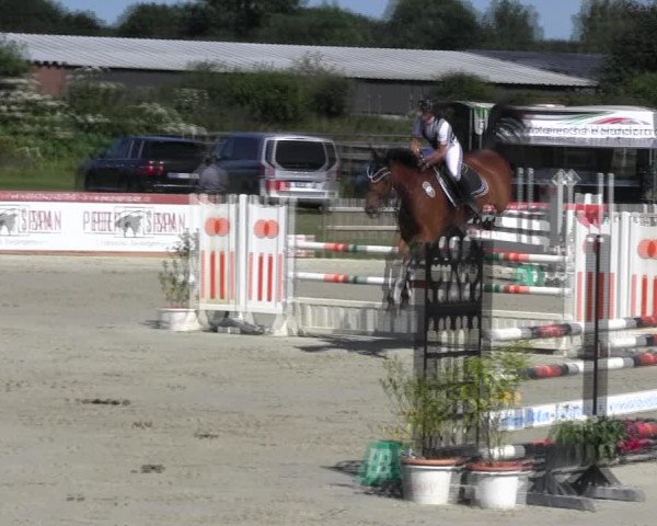 Reitturnier Schülp / Rendsburg 2018
