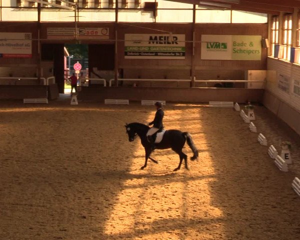 Reitturnier Delbrück-Ostenland 2018