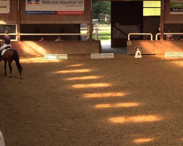 Reitturnier Delbrück-Ostenland 2018