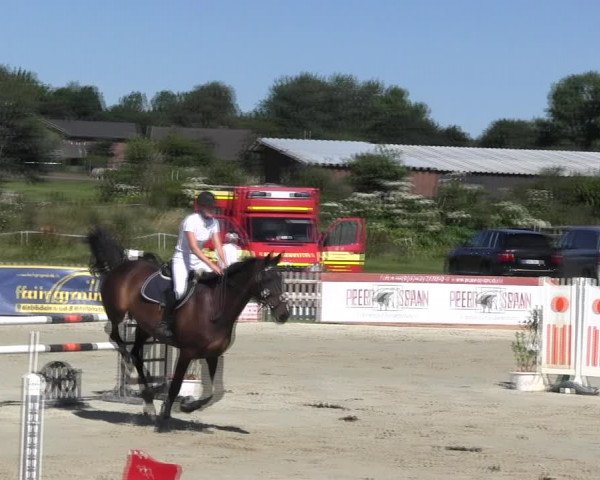 Reitturnier Schülp / Rendsburg 2018