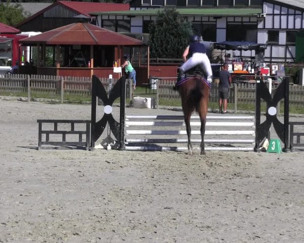 Reitturnier Schülp / Rendsburg 2018