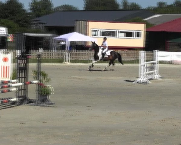 Reitturnier Schülp / Rendsburg 2018