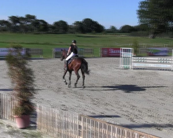 Reitturnier Schülp / Rendsburg 2018