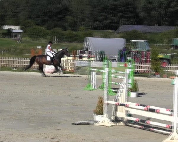 Reitturnier Schülp / Rendsburg 2018