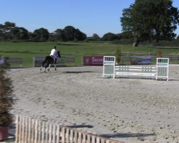 Reitturnier Schülp / Rendsburg 2018