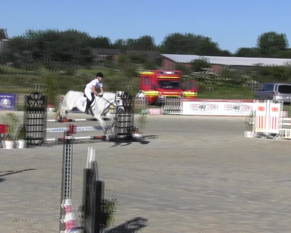 Reitturnier Schülp / Rendsburg 2018