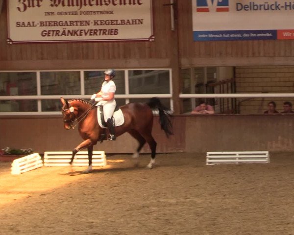 Reitturnier Delbrück-Ostenland 2018