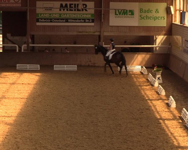 Reitturnier Delbrück-Ostenland 2018