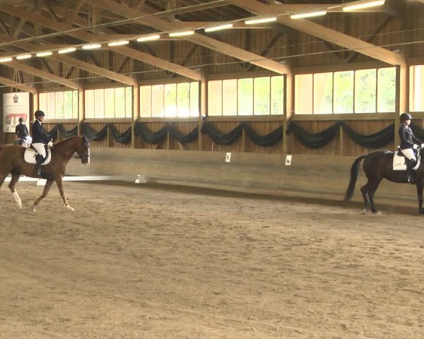 Reitturnier Pellheim-Gerblhof 2018
