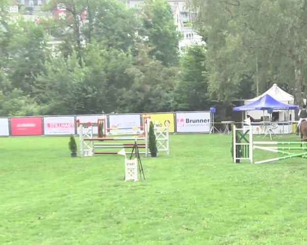 Reitturnier Wil 2018