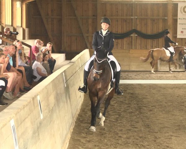 Reitturnier Pellheim-Gerblhof 2018