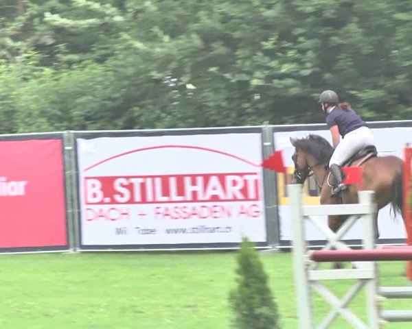 Reitturnier Wil 2018