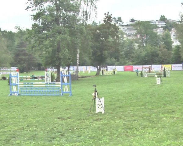 Reitturnier Wil 2018