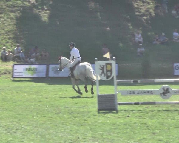 Reitturnier Wil 2018