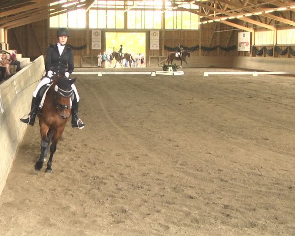 Reitturnier Pellheim-Gerblhof 2018