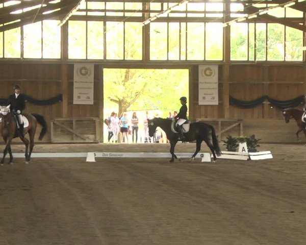 Reitturnier Pellheim-Gerblhof 2018